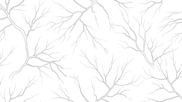 Abstract seamless pattern with thin leafless tree branches on a white background for textile or wallpaper design.