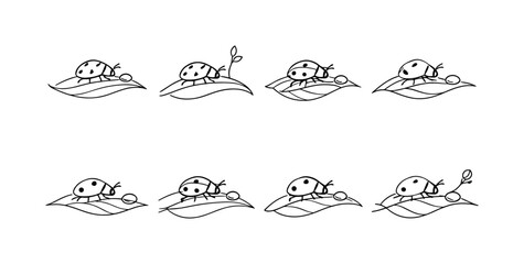 "Botanical Close-Up with Ladybug". Minimalistic set one-line drawing tiny ladybug on curved leaf, enlarged © Ivanja