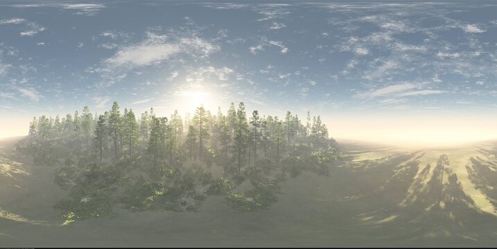 HDRI, environment map , Round panorama, spherical panorama, equidistant projection, panorama 360, Forest and swamp, 3d rendering