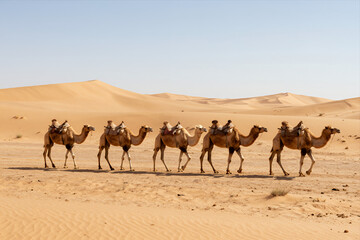 Caravan of Camels Walking Across Golden Desert Dunes under Clear Blue Sky during Daytime Travel Adventure Tourism Landscape Scene