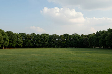 Obraz premium Expansive Green Meadow under Partly Cloudy Sky with Dense Tree Line in Background Natural Landscape Scenery for Outdoor Activities or Nature Photography