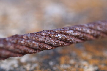 錆びたステンレス製のロープと地衣類の共生