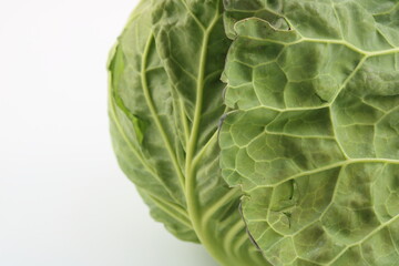 瑞々しい春キャベツのシンプルな単体写真