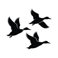 Obraz premium Three black silhouettes of ducks in flight against a white background