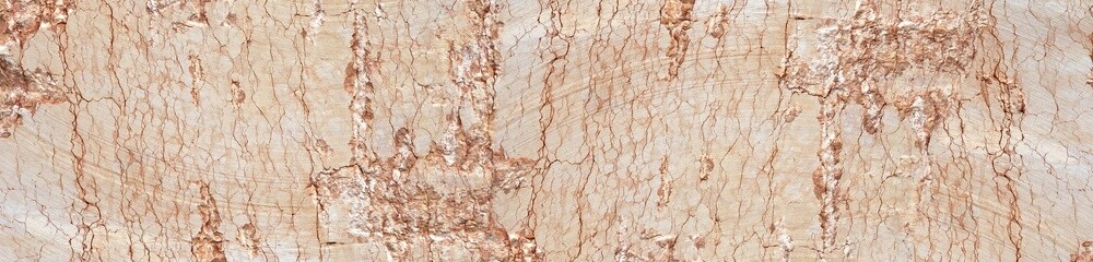 Close Up of Natural Beige Limestone with Intricate Brown Veins and Porous Details