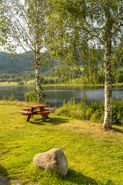 View of a rustic wooden picnic table sits serenely on lush green grass near a still lake, framed by birch trees under bright sunlight, Morgedal, Norway.