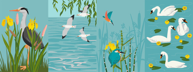 Fototapeta premium vector drawing set of hand drawn illustrations with river birds and landscapes , natural wildlife compositions with grey heron, swans, kingfishers and seagulls, , hand drawn illustration