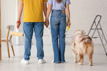 Young couple with cute dog and rollers planning painting walls in their new home