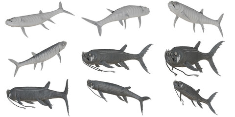 Digital illustration of prehistoric fish species © Ilie