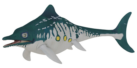 Fototapeta premium Realistic model of an ancient fish species.