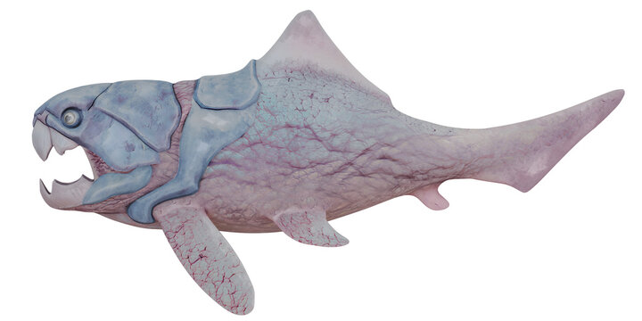 Realistic depiction of prehistoric fish Dunkleosteus