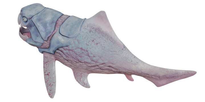 Fossil model of a prehistoric armored fish.