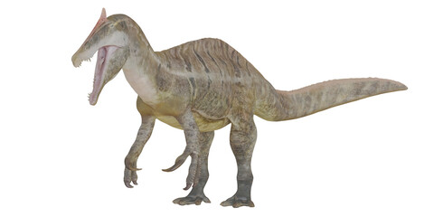 Fototapeta premium Majestic dinosaur in a classic roaring pose.