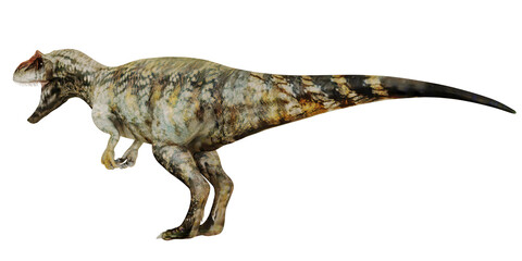 Fototapeta premium Realistic dinosaur illustration on white background
