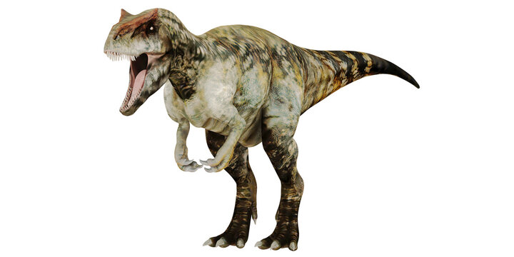 Ferocious Tyrannosaurus rex roaring