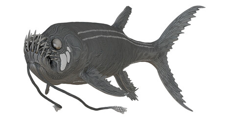 Fototapeta premium Intricate illustration of an ancient deep-sea fish.