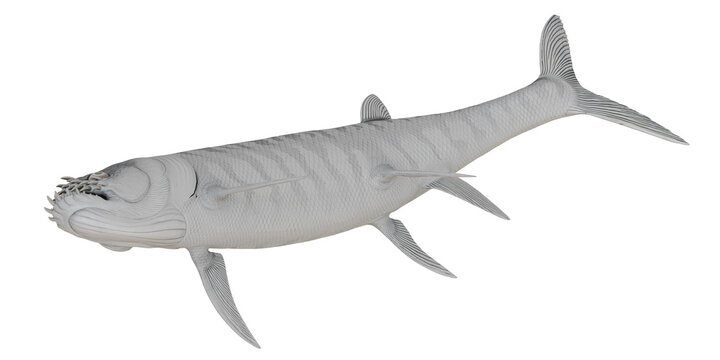 Detailed 3D illustration of an extinct aquatic predator