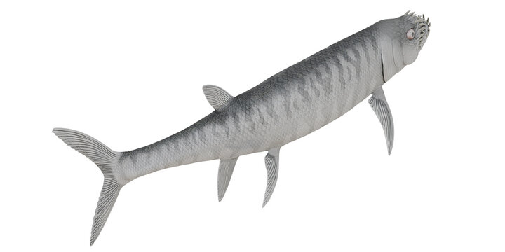 Detailed 3D rendering of an ancient fish.