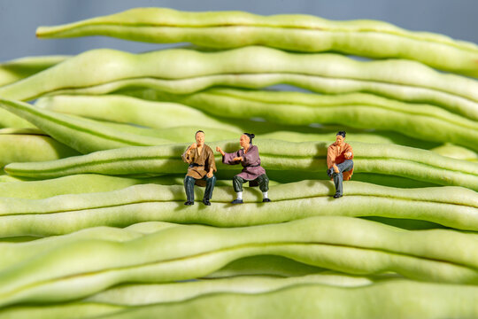 Miniature People on Fresh Green Beans Creative Concept