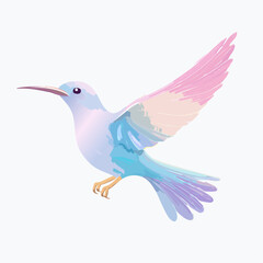 Obraz premium A delicate hummingbird in flight with soft pink and blue pastel wings