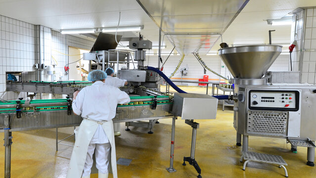 Production of sausages on a conveyor belt in a large meat processing plant - Industrial food processing - Workers in work clothes