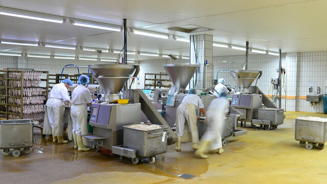 Production of sausages on a conveyor belt in a large meat processing plant - Industrial food processing - Workers in work clothes