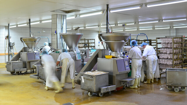 Production of sausages on a conveyor belt in a large meat processing plant - Industrial food processing - Workers in work clothes
