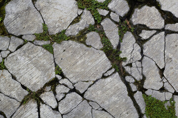 Obraz premium Broken cement path texture
