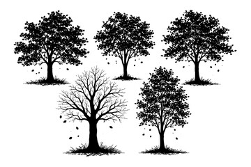 Obraz premium Silhouette of trees depicting different seasons and foliage states.