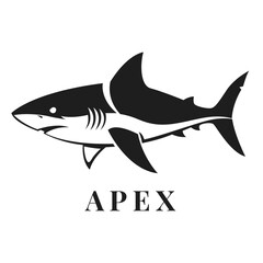 Obraz premium Shark Vector Illustration Silhouette Animal Logo with Apex Text Design