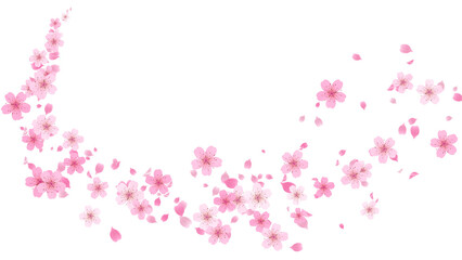 Spring Sakura Cherry Blossom Trail Wave on transparent background, png nature petals and buds season and spring sale isolated design element
