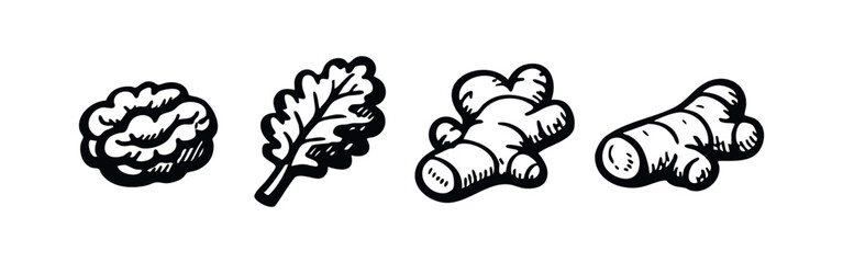 Fototapeta premium Hand-drawn doodle icons of healthy superfoods: walnut, kale leaf, and ginger root. Organic ingredients set.