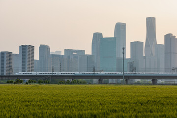 Fototapeta premium Hangzhou CBD Skyline with High-Speed Train and Agricultural Fields