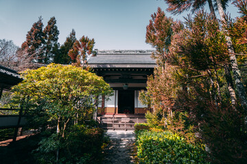 Fototapeta premium 光悦寺の美しい風景