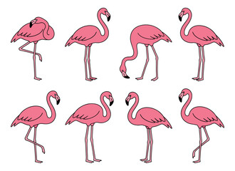 Obraz premium Hand drawn line art flamingo set featuring various poses for tropical and summer designs