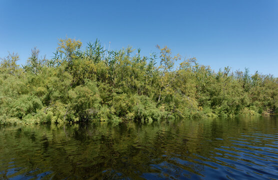 Frankreich - Korsika - Teich U Stagnolu de Bagheera
