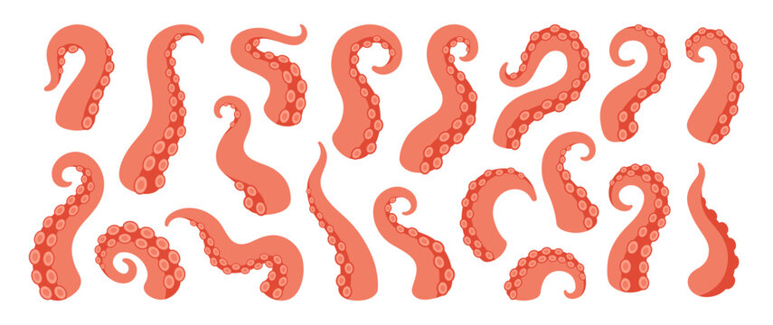 Cartoon octopus tentacles set. Curved squid arms with suction cups for ocean, fantasy, sea monster and marine themes