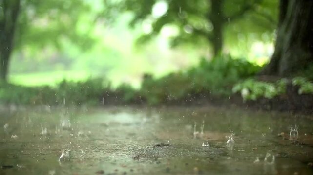 Heavy raindrops splashing on a wet stone garden path with a soft, blurred green forest background in slow motion.