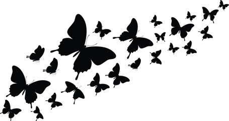 Black butterfly silhouettes flying diagonally, abstract insect pattern, nature design, decorative vector illustration, wildlife art, minimal background, creative composition © hiiii
