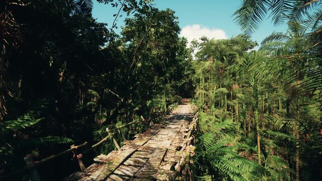 Wooden bridge crossing narrow ravine surrounded by tall trees and lush undergrowth, weathered planks and railing show age, stones covered in moss at banks