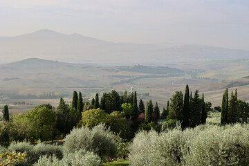 Obraz premium Golden Autumn Morning in the Tuscan Countryside near Pienza, Italy