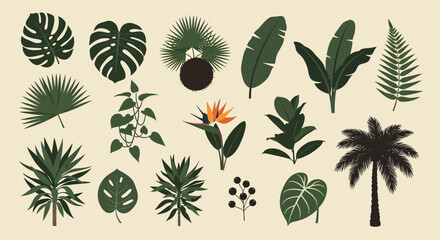 Collection of various tropical leaves and plants illustrations. © Abhinaya Project