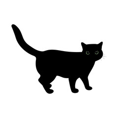 Standing black cat with big green eyes. Vector illustration