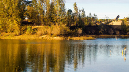 Paysages et flore des Landes de Gascogne, en automne