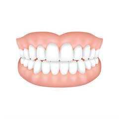Obraz premium A detailed illustration of a human mouth showcasing the upper and lower teeth. isolated on white background