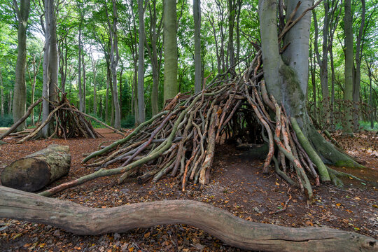 Zelt aus &Auml;sten im Wald