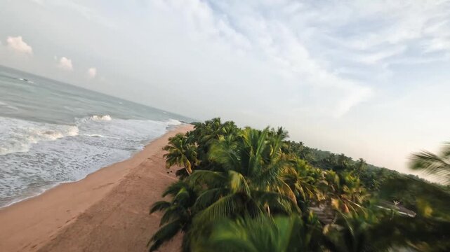 Aerial FPV view of the coastline with the beach, waves and palm trees, creating a tropical paradise, Colombo, Western Province, Sri Lanka.