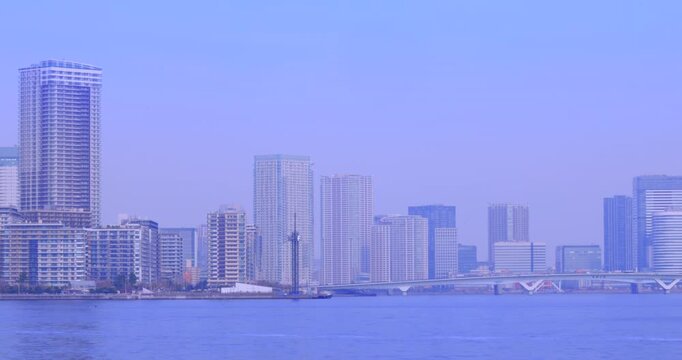 豊洲市場周辺の近代的なオフィスビル群と豊洲大橋のパノラマ