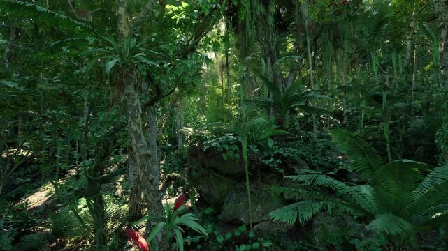 closeup textured trunk and vine covered bark with filtered light highlighting moss and intricate patterns for nature study and design reference