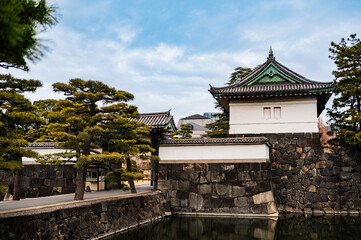 tokyo, tokio, japan, shinjuku, skytree, asakusa, shibuya, asia, sumida, temple
